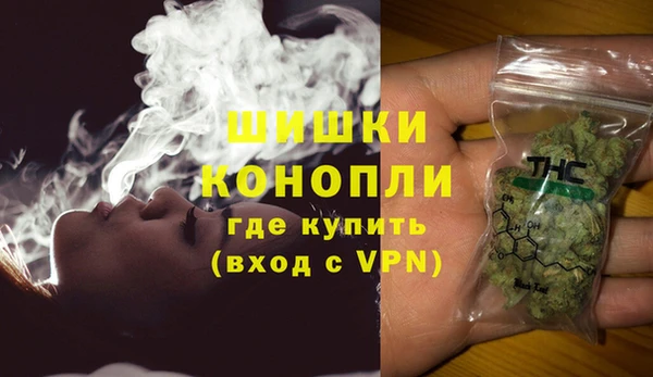 прущие грибы Аркадак